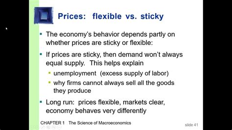 Sticky Price Theory